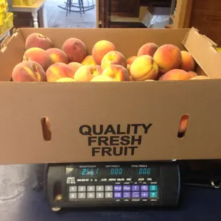 3 day sale on pick your own contender peaches: 1/2 bushel for $45.00!!! Aug 8-10, 2018
