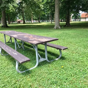 Picnic benches