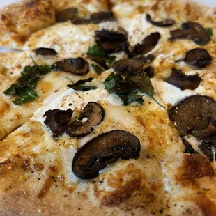 a mushroom pizza