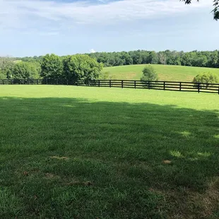 Tons of outside green space with Horses on the hillside