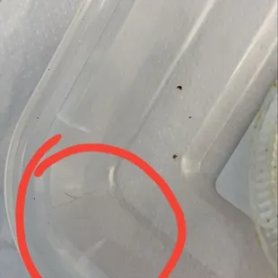A piece of the hair that was in the food