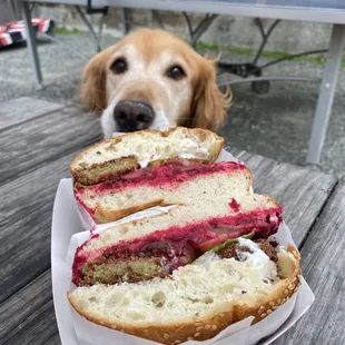 Falafel Sandwich