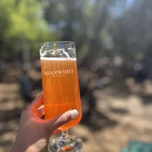 a person holding a glass of beer