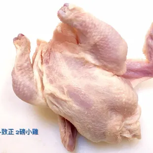 While chicken(about 2 lbs/pic) 小母鸡  $3.00/PC