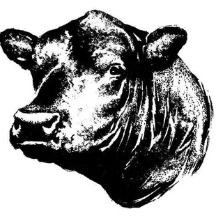the head of a cow
