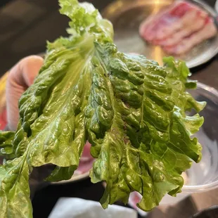 Dirt on the lettuce...