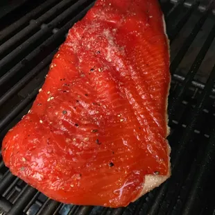 Salmon