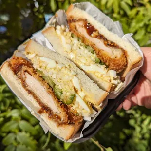 a person holding a sandwich