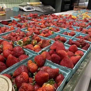 Beautiful ripe strawberries