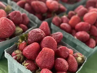 Kings Drive Farmers Market