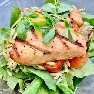 Oven roasted salmon salad
