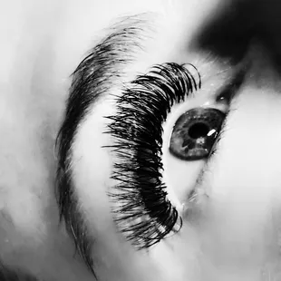 Hybrid lash fill $85