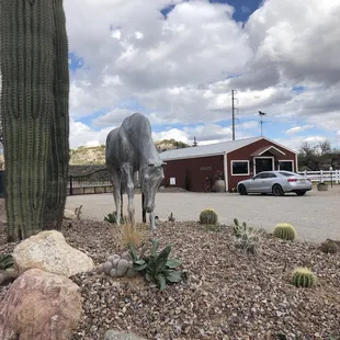 The Farmers market at the entrance.