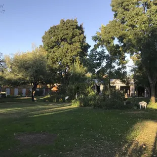 Back of Park facing towards Main Ramada.