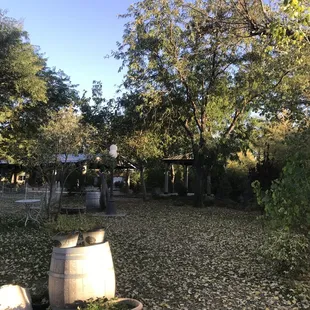 Fall time in Kallista Park!