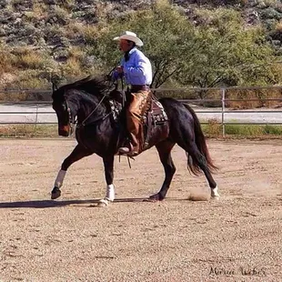 Lanny the Horse Trainer