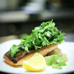 Crispy Atlantic Salmon