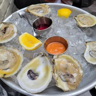 Oysters