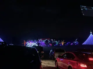 Downs Family Christmas Light Ministry