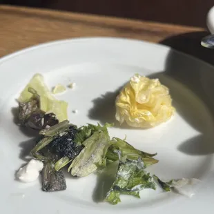 Rotten lettuce hidden in my Greek Salad