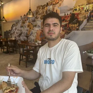 Chicken Shawarma Plate