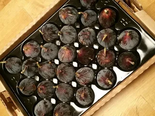 Mediterranean Foods Imports