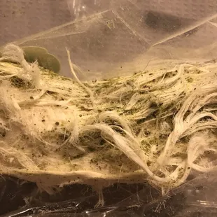 Delicious cotton candy from Turkey.