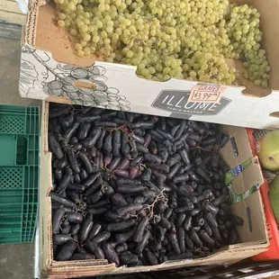Small grapes and long grapes
