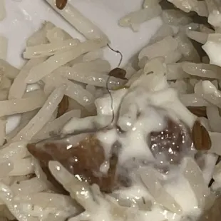 a plate of pasta and meat