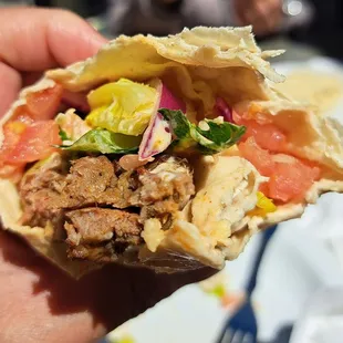 Adana kebab wrap