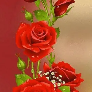 three red roses