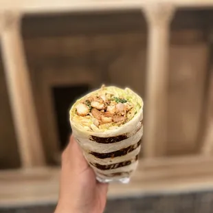 Chicken Wrap