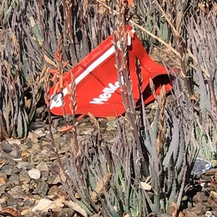 Litter,garbage from MedMen