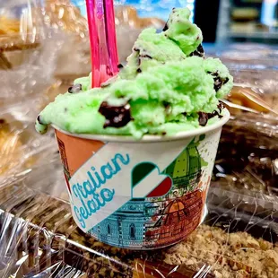 Mint Chocolate Gelato