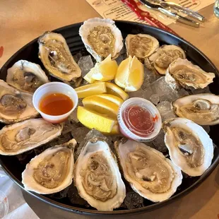 Fresh Oysters