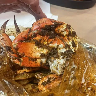 Snow Crab