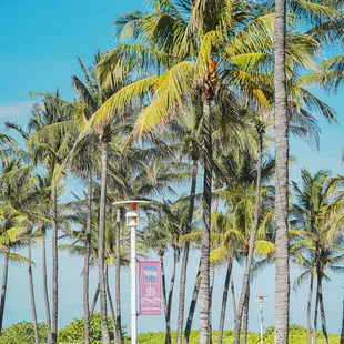 Mediterranean restaurant in Miami Beach