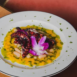 Meet Dalia - Mediterranean restaurant in Miami Beach