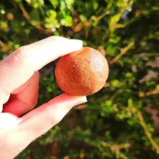 Love this season.  Pumpkin for the grin. xo