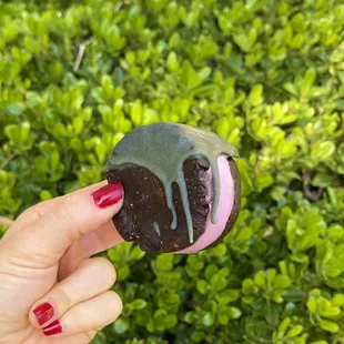 Ice cream sandwich special from the farmers market