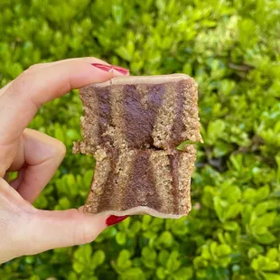 Pumpkin spice cinnamon bun