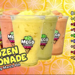 NEW PRODUCT ALERT!
We now have added Frozen Lemonades as a permanent menu item.