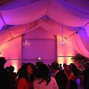 Lillian King (Conservatory Of Flowers, San Francisco)