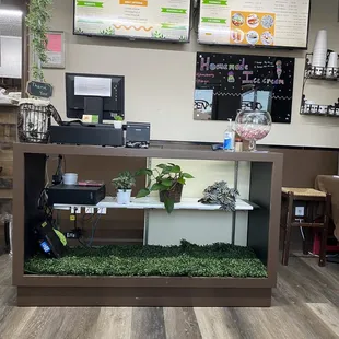 When you walk in.