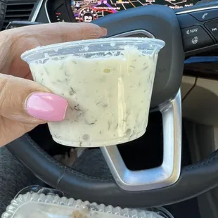 Tzatziki sauce is AWESOME!