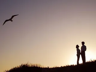 Ron Randolf Photography