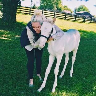 Take pictures with foals at Megson Farms