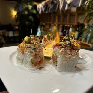 sashimi, sushi, food, sushi and sashimi