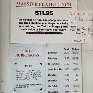 Whoa... massive plate is right!