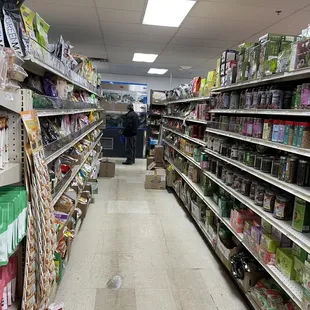 Keeping an eye on the fish.